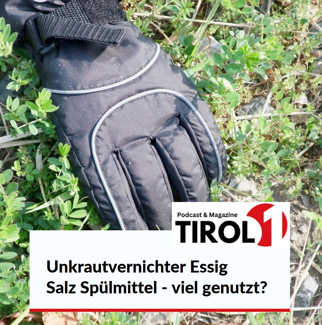 Unkrautvernichter Essig Salz Spülmittel - viel genutzt? Unkrautvernichter Essig Salz Spülmittel - viel genutzt?