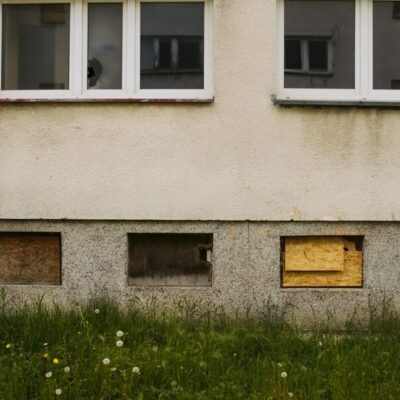 unkrautvernichter essig salz spülmittel