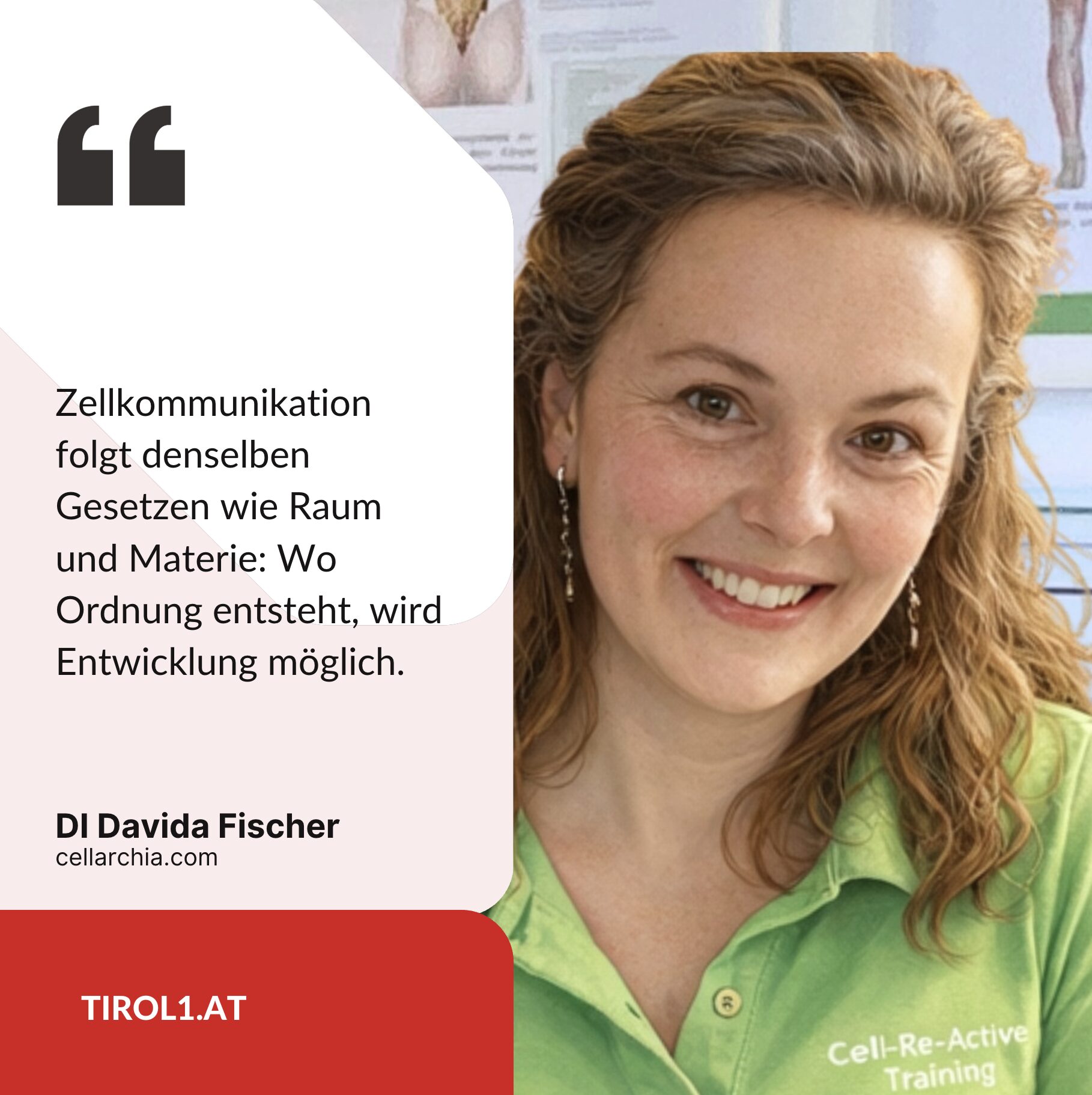 DI Davida Fischer cellarchia.com
