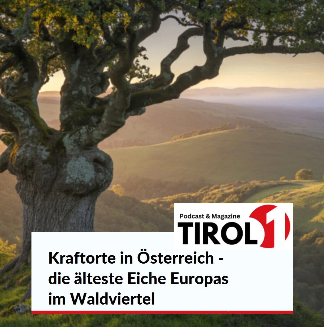 Kraftorte in Österreich - die älteste Eiche Europas im Waldviertel