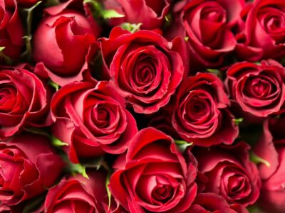 whatsapp sprüche zum muttertag