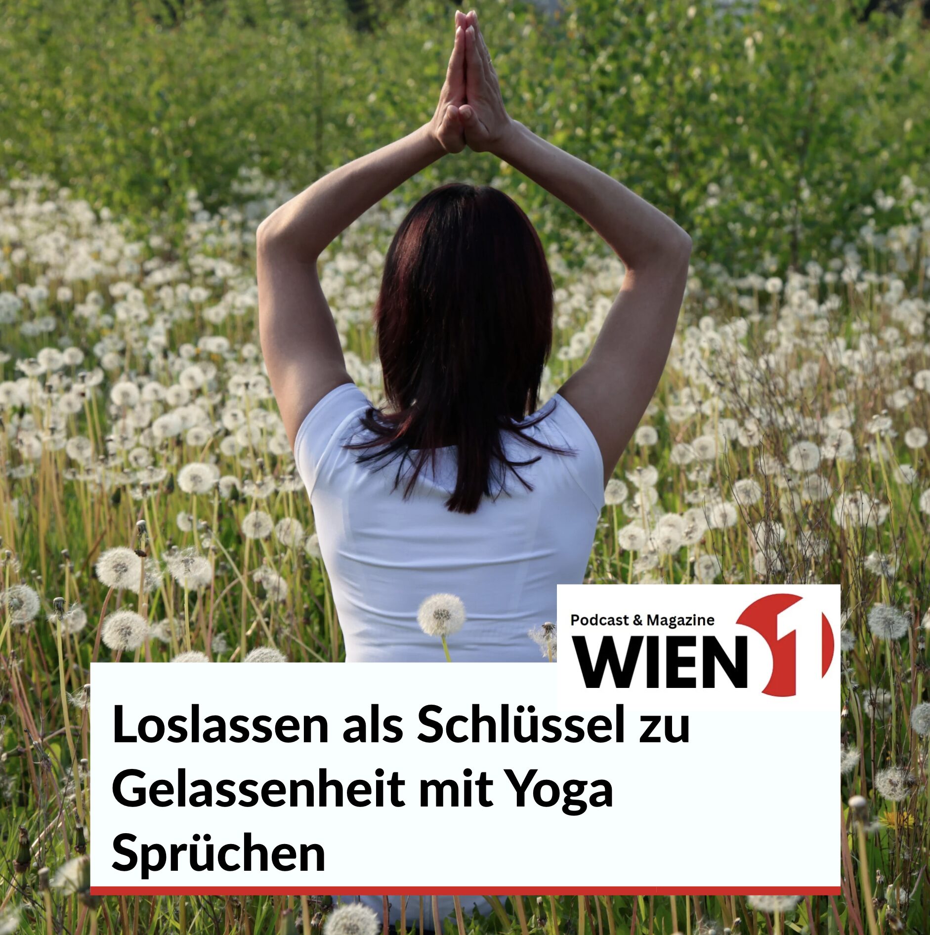 Loslassen als Schlüssel zu Gelassenheit mit Yoga Sprüchen