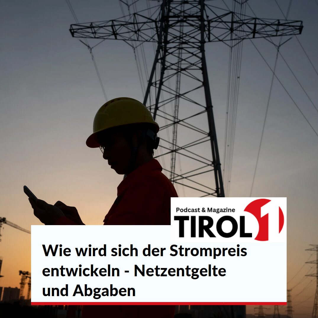 Wie wird sich der Strompreis entwickeln - Netzentgelte und Abgaben 