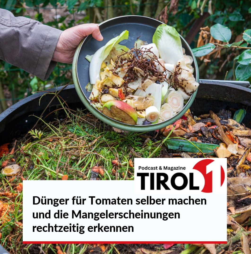 Dünger für Tomaten selber machen und die Mangelerscheinungen rechtzeitig erkennen 